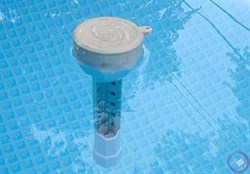 Градусник (термометр) для воды бассейна Intex 29039 - фото 99302
