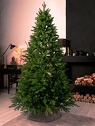Искусственная елка Ancona 180 см