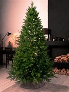 Искусственная елка Ancona 210 см
