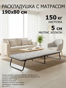 Раскладушка c матрасом Надежда / 190 х 80 см / сетка,  нагрузка 150 кг