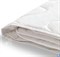 Одеяло Легкие сны Лель легкое - Микроволокно "Лебяжий пух" 172х205 - фото 100057