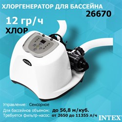 Хлоргенератор Intex 26670  (12 гр/ч)   для бассейна - фото 122189