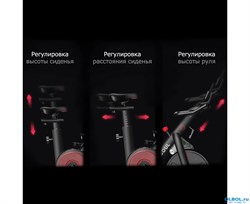 Спин-байк DFC OVICX B-Q210B - фото 119053 Спин-байк DFC OVICX B-Q210B - фото 119053