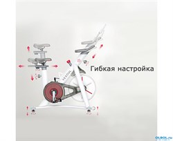 Спин-байк DFC OVICX B-Q210W - фото 119057 Спин-байк DFC OVICX B-Q210W - фото 119057