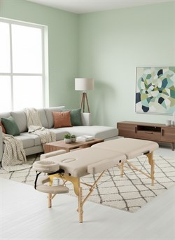 Массажный стол DFC PROFI2 TS212H складной / 220 х 90 х 88 см - фото 132897