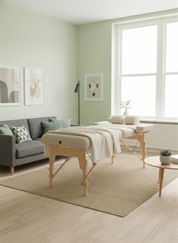 Массажный стол DFC PROFI2 TS212H складной / 220 х 90 х 88 см - фото 132899