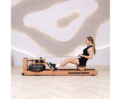 Гребной тренажер DFC SmartGym WR-02 - фото 132911