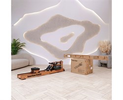 Гребной тренажер DFC SmartGym WR-02 - фото 132929