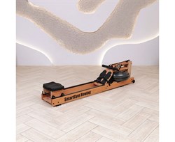 Гребной тренажер DFC SmartGym WR-02 - фото 132930