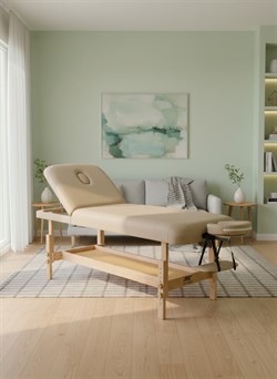 Массажный стационарный стол DFC SUPERIOR2 TS200/2 с регулировкой для спины/ног / 192х71х88 см - фото 132956