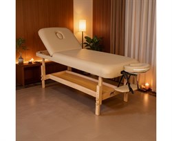 Массажный стационарный стол DFC SUPERIOR2 TS200/2 с регулировкой для спины/ног / 192х71х88 см - фото 132958