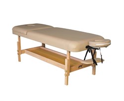 Массажный стационарный стол DFC SUPERIOR2 TS200/2 с регулировкой для спины/ног / 192х71х88 см - фото 132959