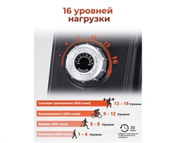 Гребной тренажер DFC ECHANFIT, складной CRW4107A-N - фото 133039