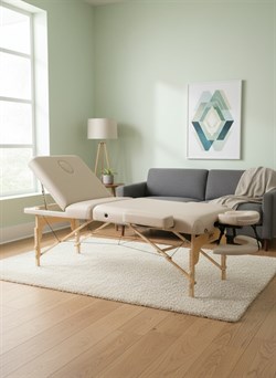 Массажный стол DFC PROFI3 TS312H складной / 220 х 90 х 91 см - фото 133090