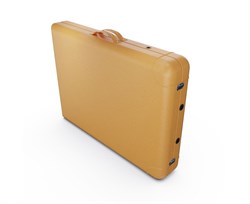 Массажный стол DFC NIRVANA, Elegant LUXE, 186х70х4 см, алюм. ножки, цвет горчичный (Mustard),  TS2010_M / 186х70х84 см - фото 133104