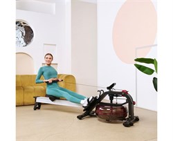 Водный гребной тренажер DFC PoMt PMWR2020 - фото 133116