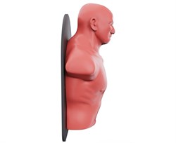 Настенный боксерский манекен WALL-MOUNTED PUNCHING MAN TLS-W - фото 134002