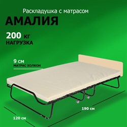 Двухспальная раскладушка Амалия с матрасом 190x120 ДУБ - фото 134722