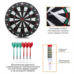 Дартс DFC BASEBOARD, 6 дротиков DARDBE20 - фото 135914