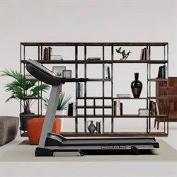 Беговая дорожка DFC WALKER EVO PRO для реабилитации T-S1 PRO - фото 135997