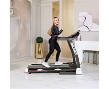 Беговая дорожка DFC SILUET FITNESS T0005S Беговая дорожка DFC SILUET FITNESS T0005S