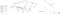 Раскладушка Даметекс Элеонора-М с матрасом   (200x90x43см) - фото 101303
