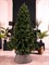 Искусственная елка Премиум Зеленая 120 см - фото 119715