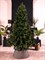 Искусственная елка Премиум Зеленая 180 см - фото 119723