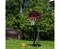 Мобильная баскетбольная стойка DFC KIDSC 80 х 58 см - фото 120508