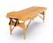Массажный стол DFC NIRVANA, Relax, дерев. ножки, цвет горчичный (Mustard) TS20111_M / 186х70х84 см - фото 133078