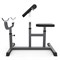 Скамья Скотта DFC Homegym UB009G серый - фото 137683