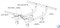 Раскладушка Даметекс Эльвира с матрасом  (199.5х90х44) - фото 95234