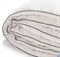 Одеяло Легкие сны Элисон теплое - микроволокно "Лебяжий пух" - 100% - фото 97454